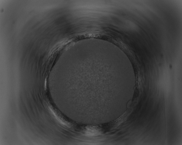 X0000051890070200507020106