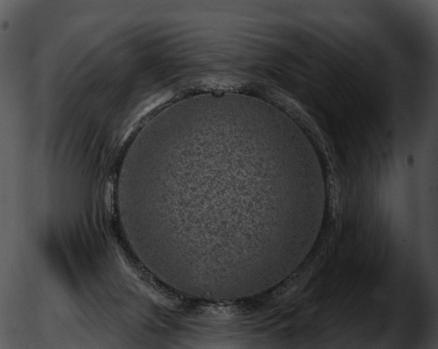 X0000051890071200507020106