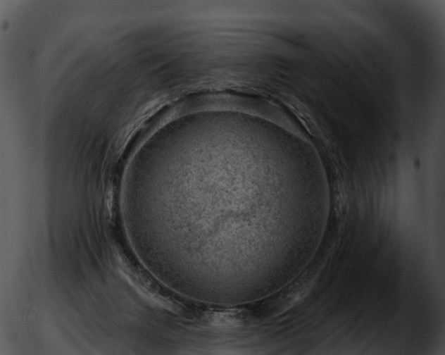 X0000051890072200507020106