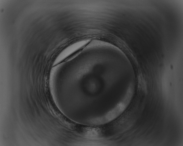 X0000051890073200507020106