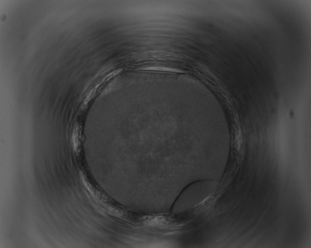 X0000051890074200507020106