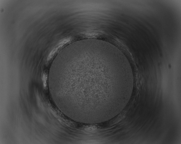 X0000051890075200507020106