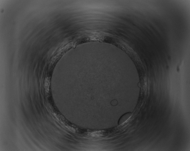 X0000051890078200507020106