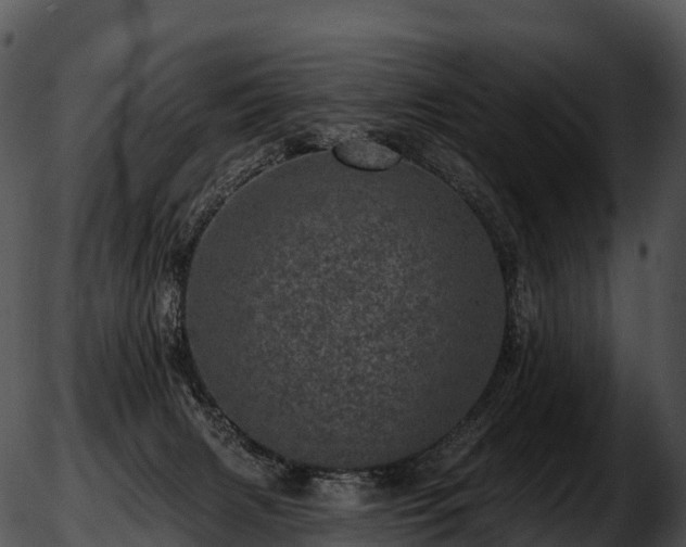 X0000051890079200507020106