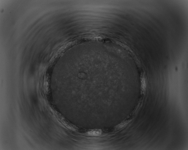 X0000051890080200507020106