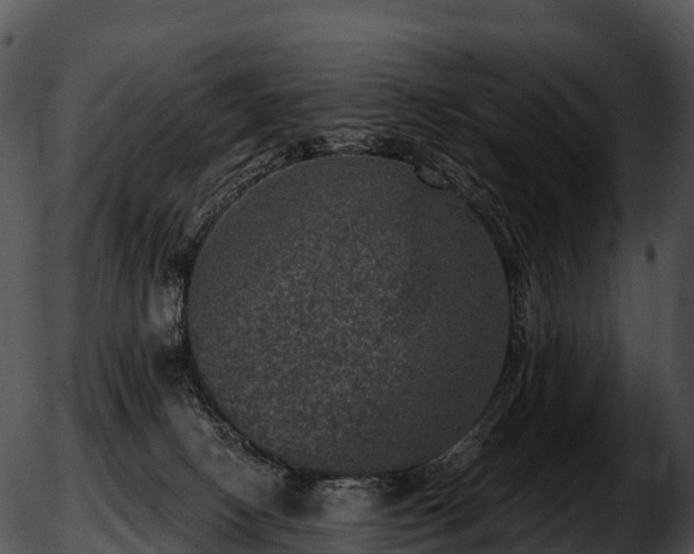 X0000051890082200507020106