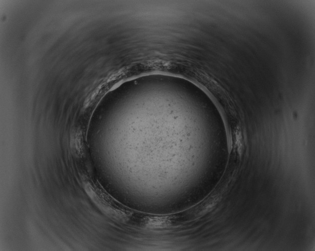 X0000051890088200507020106