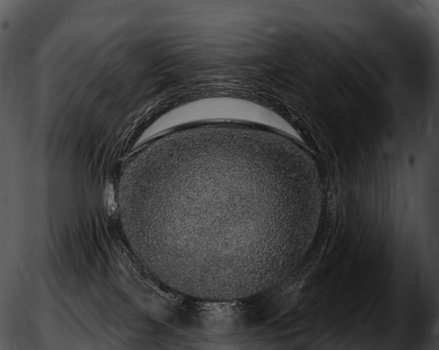 X0000051890089200507020106