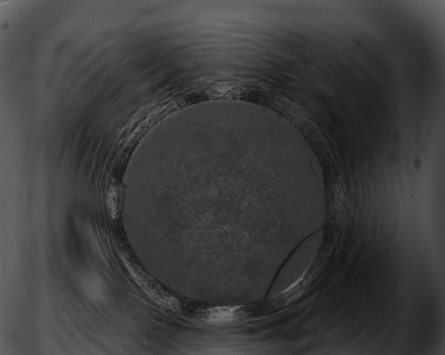 X0000051890090200507020106