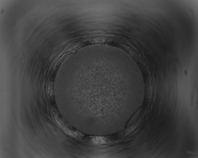 X0000051890091200507020107