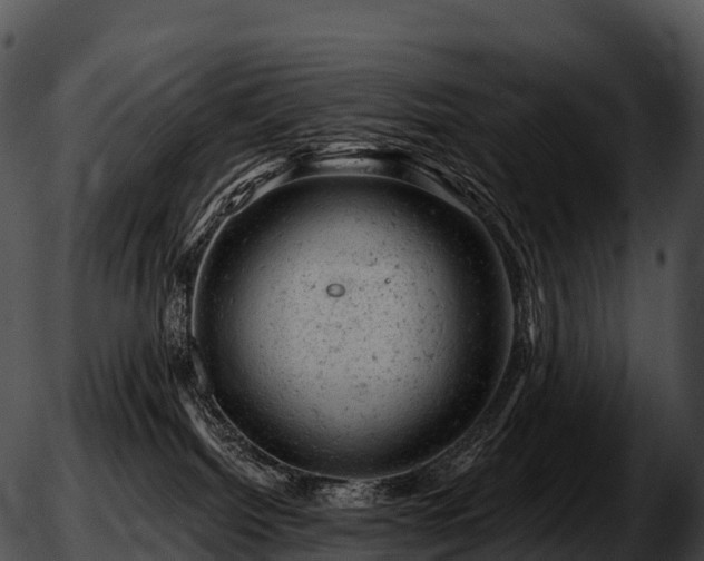 X0000051890092200507020107