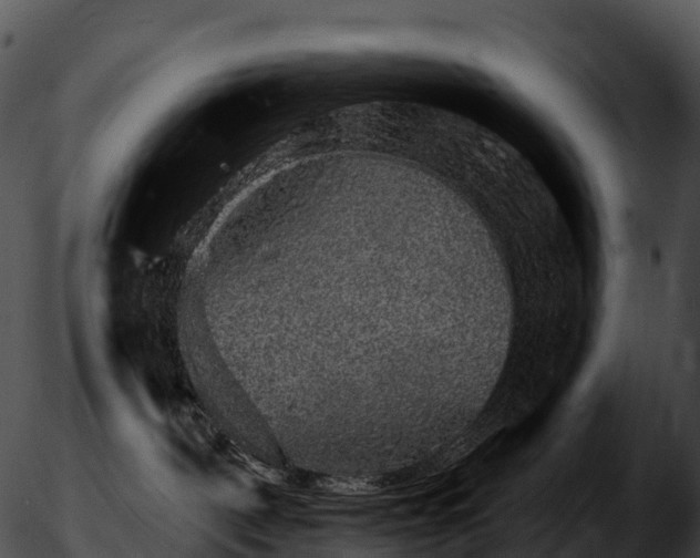 X0000051890093200507020107