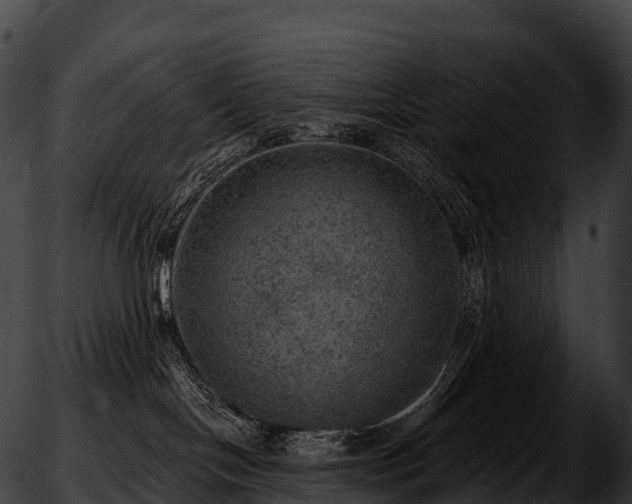 X0000051890094200507020107