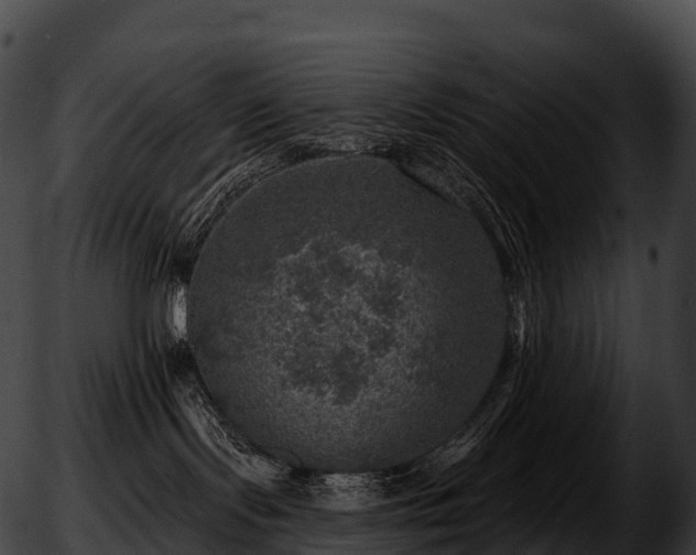 X0000051890095200507020107