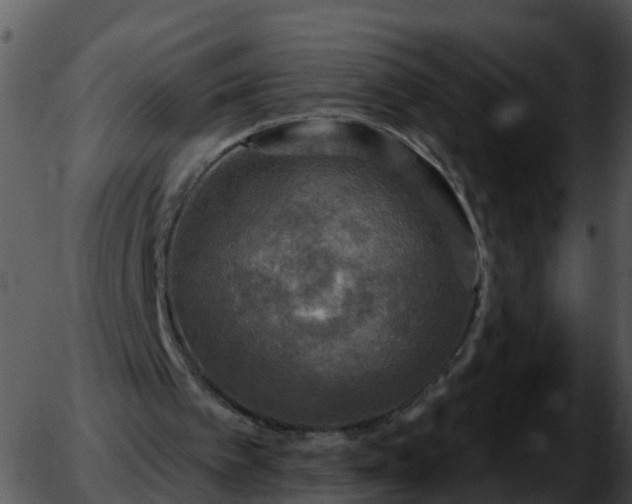 X0000051890097200507020106