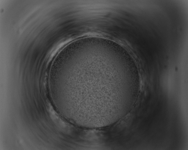 X0000051890098200507020106