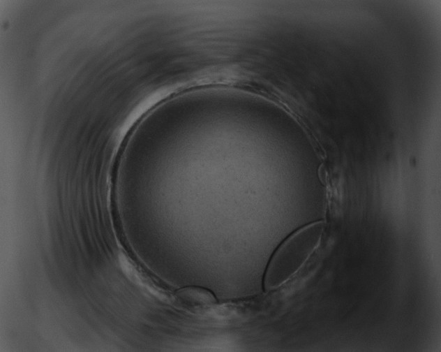 X0000051890100200507020106