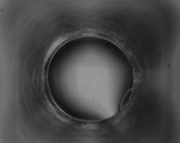 X0000051890102200507020106