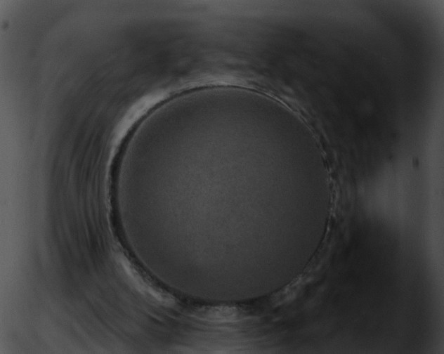 X0000051890104200507020106