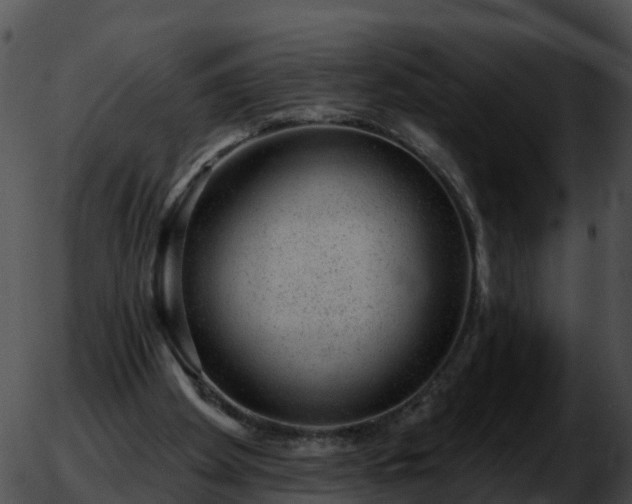 X0000051890105200507020106