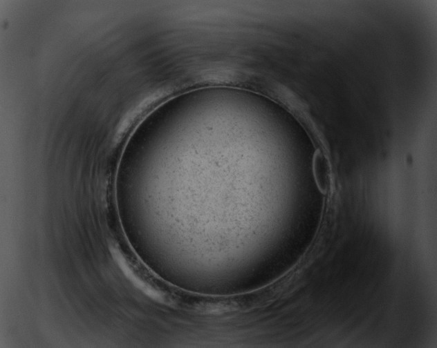 X0000051890106200507020106