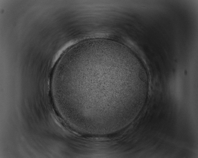 X0000051890107200507020106