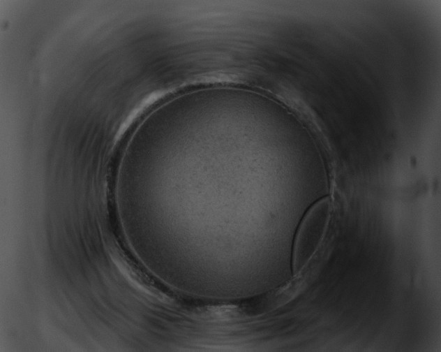 X0000051890108200507020106