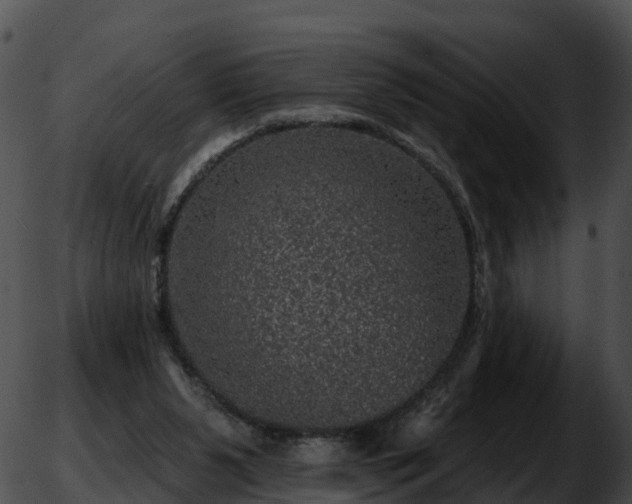 X0000051890111200507020106