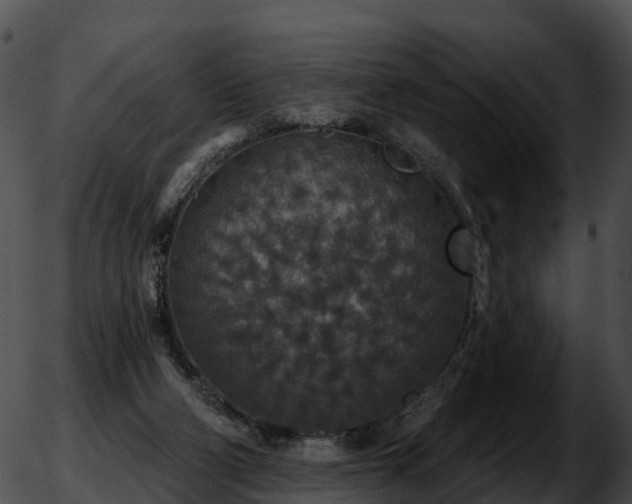 X0000051890114200507020106