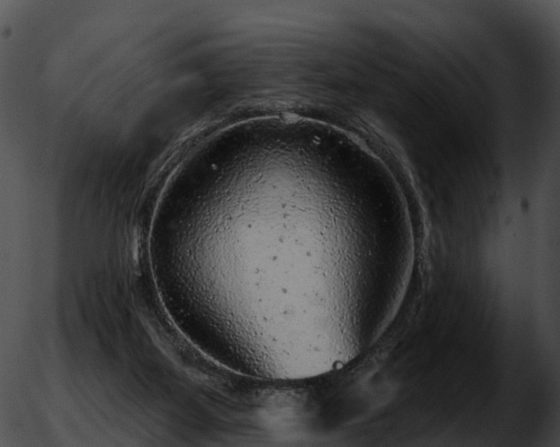 X0000051890115200507020106