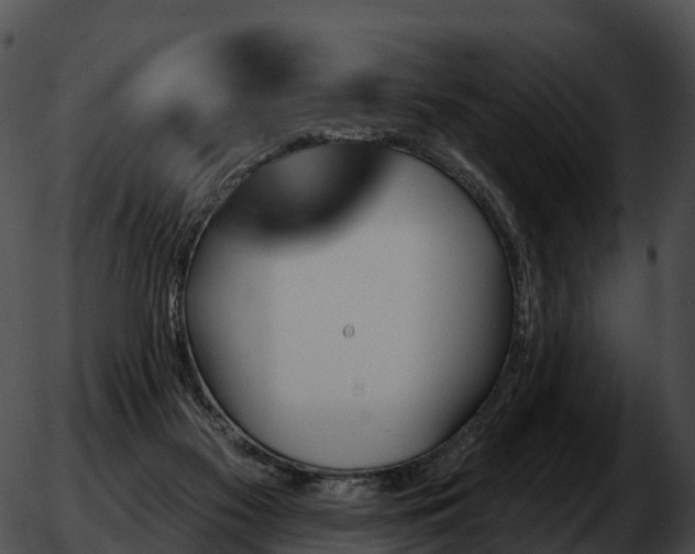 X0000051890117200507020105