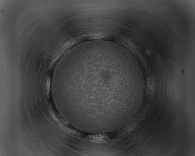 X0000051890118200507020105