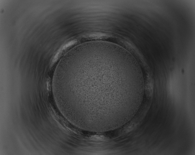 X0000051890119200507020105