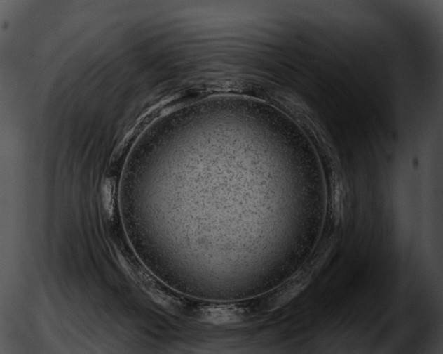 X0000051890121200507020105