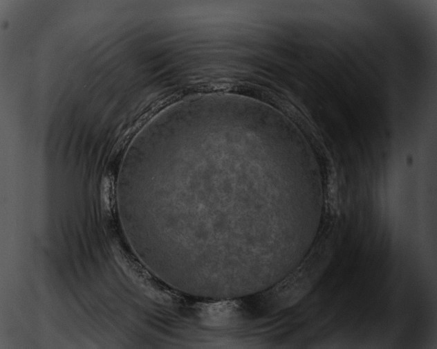 X0000051890122200507020105