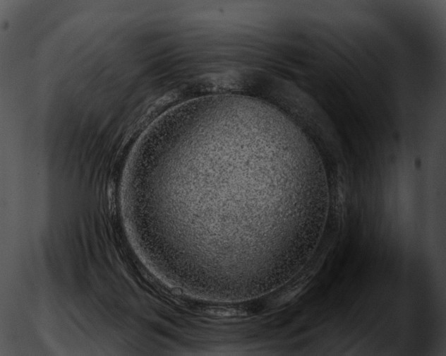 X0000051890123200507020105