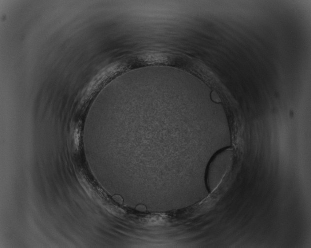 X0000051890124200507020105