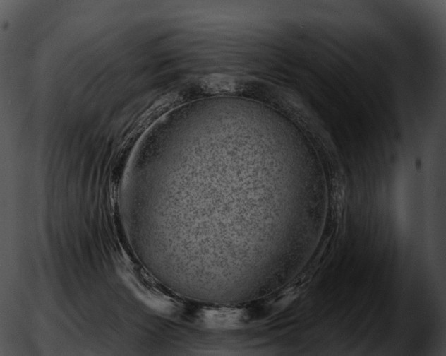 X0000051890125200507020105