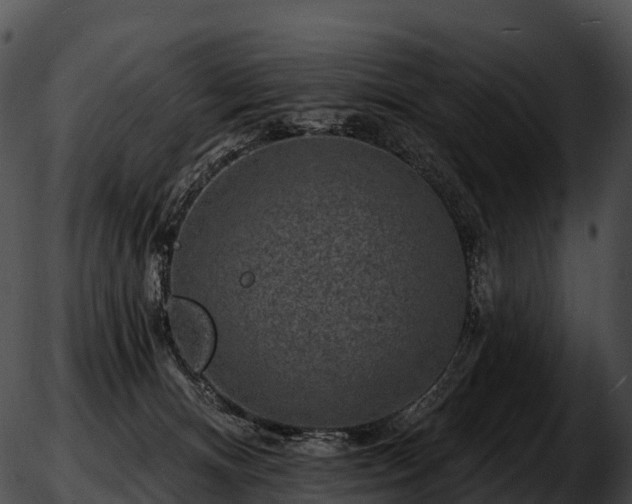 X0000051890128200507020105