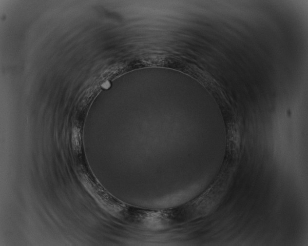 X0000051890130200507020105