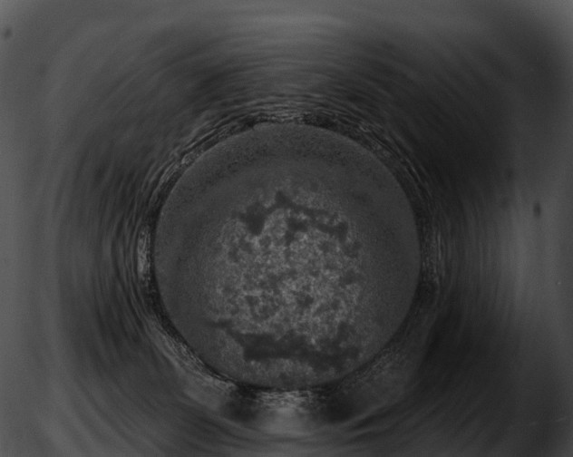 X0000051890131200507020105