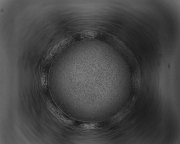 X0000051890134200507020105