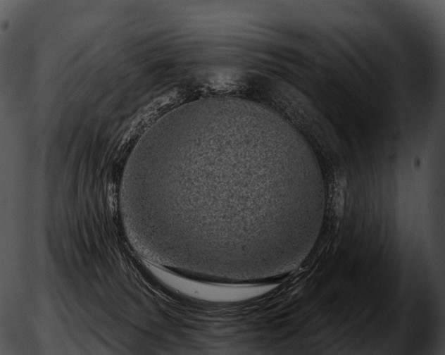 X0000051890135200507020105