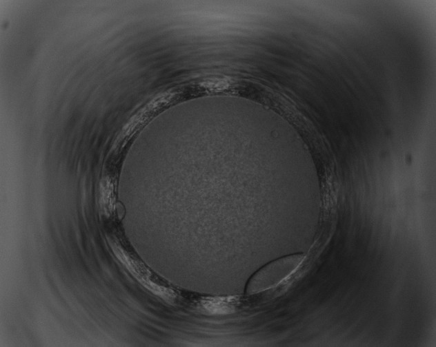 X0000051890136200507020105