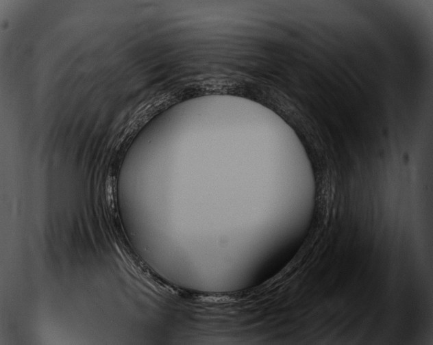 X0000051890137200507020105