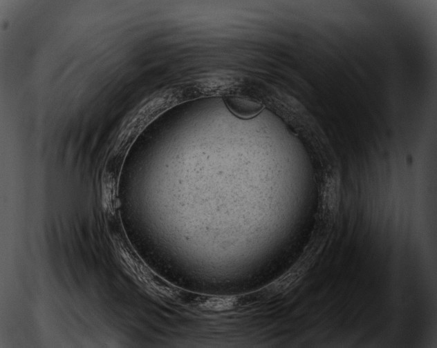 X0000051890138200507020105