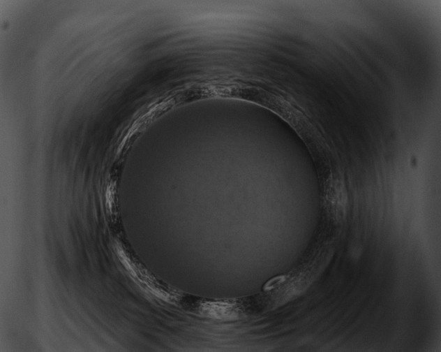 X0000051890139200507020105