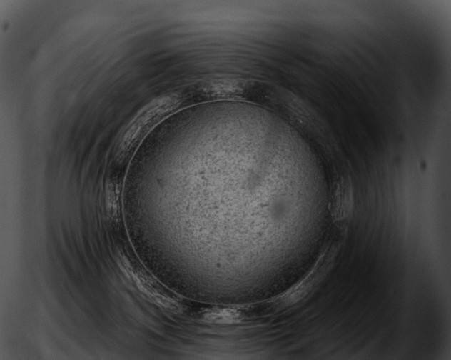 X0000051890140200507020105