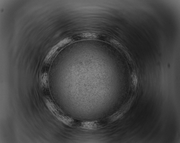 X0000051890141200507020105