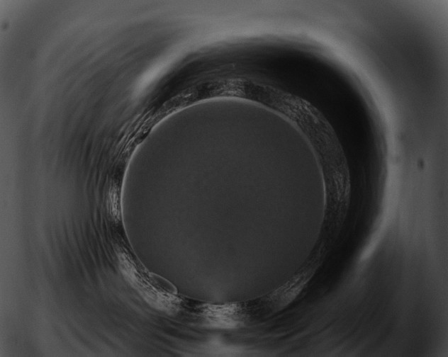 X0000051890143200507020105